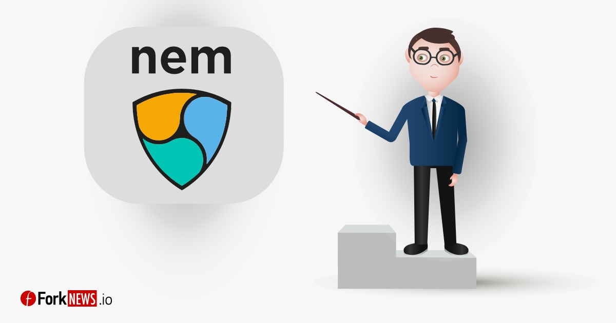 NEM: особенности, преимущества, уязвимости