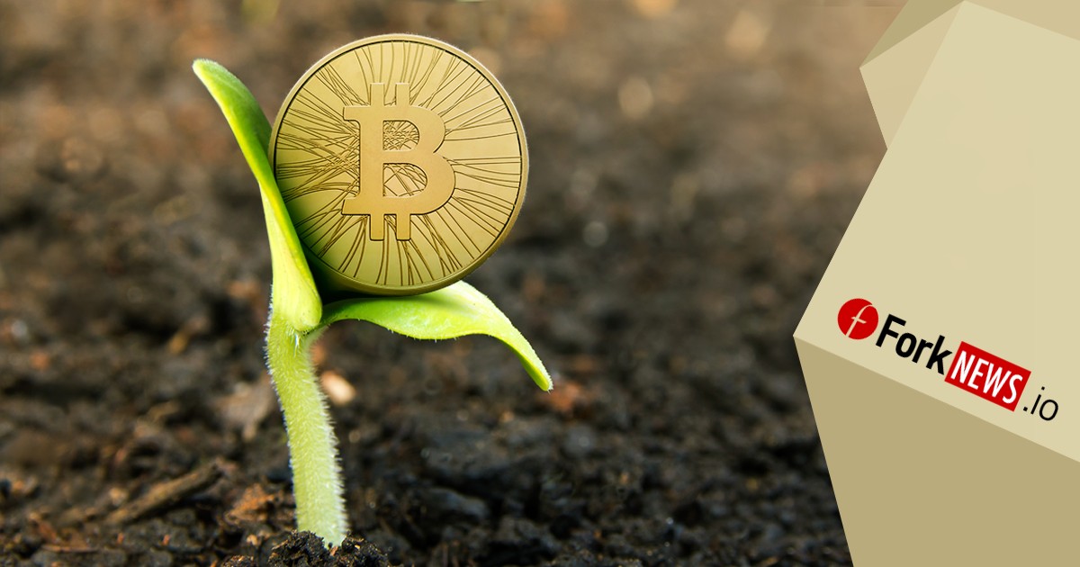 Аллилуйя! Наконец-то цена bitcoin опять растет