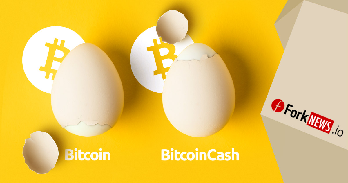 Bitcoin против  Bitcoin Cash: нужен ли победитель?