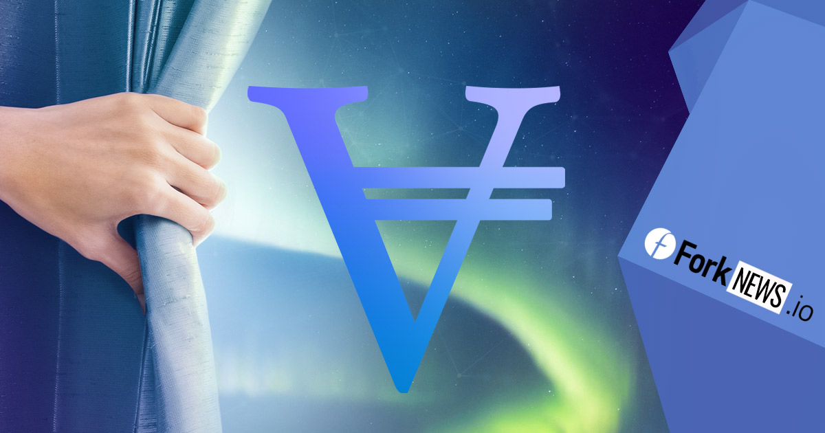 Новый токен VIC с собственным финансированием
