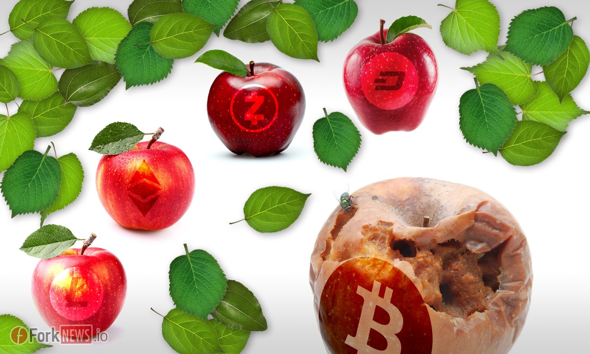 Hashflare отказалась от майнинга биткойна из-за низкой доходности 