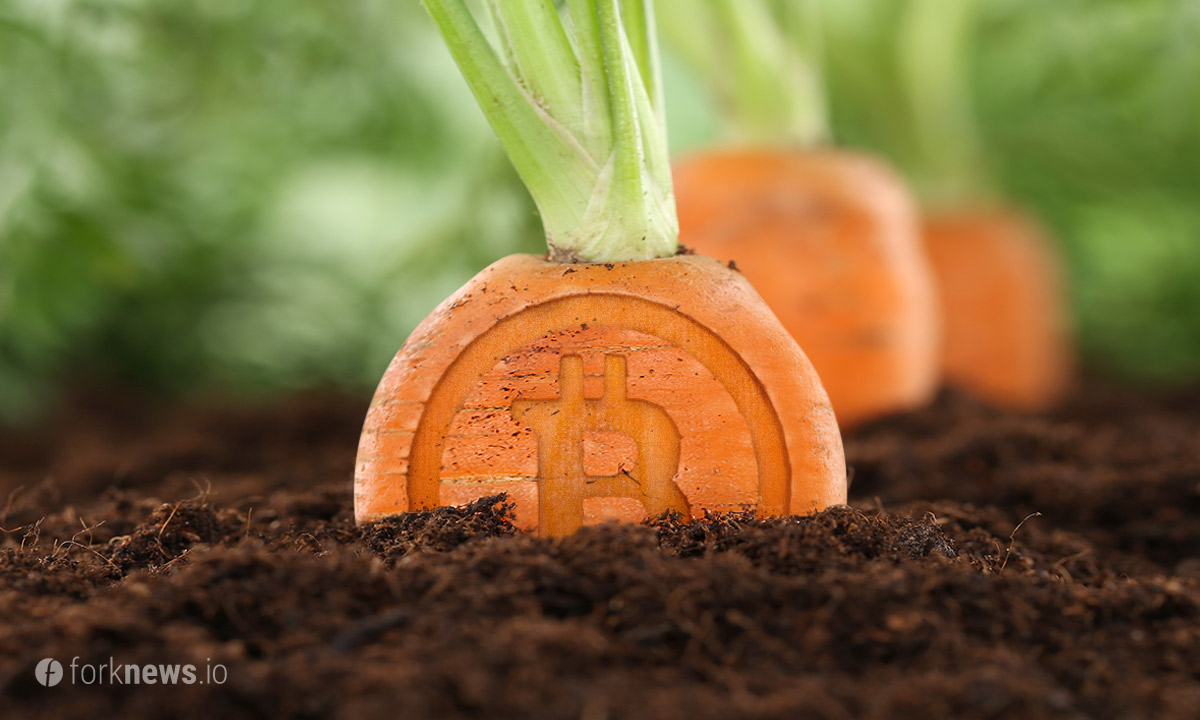 ПРИВАТНОСТЬ BITCOIN ОБЕСПЕЧИТ TAPROOT, НО ЕСТЬ ПОДВОХ