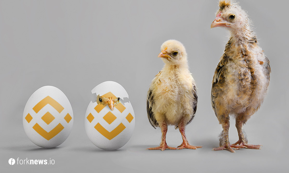 Binance Coin вырос выше $100