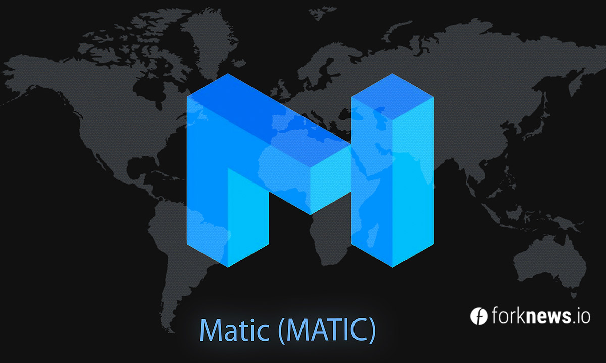 Обзор особенностей проекта Matic Coin