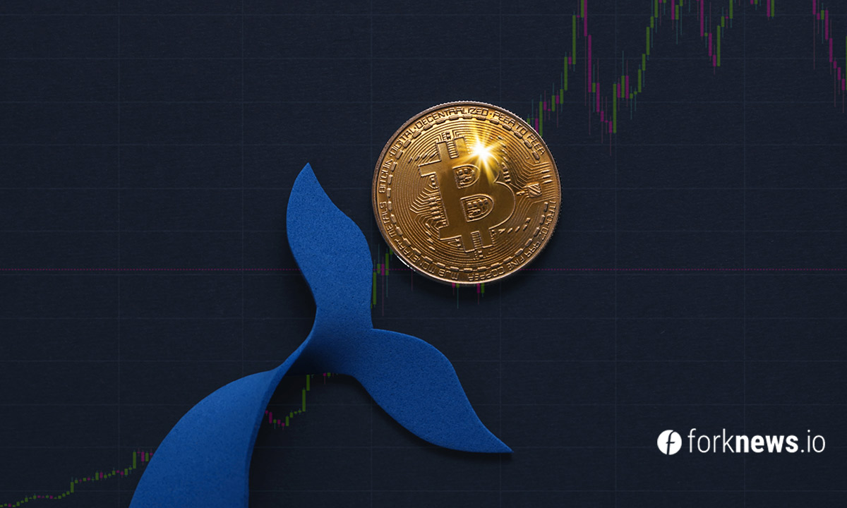 Биткоин-киты скупили 20 000 BTC на падении цены