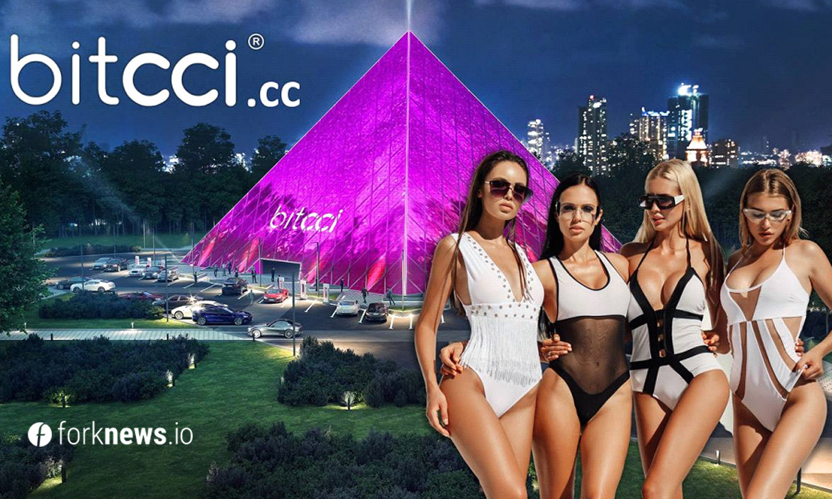Швейцарская компания bitcci строит блокчейн для индустрии эксорта