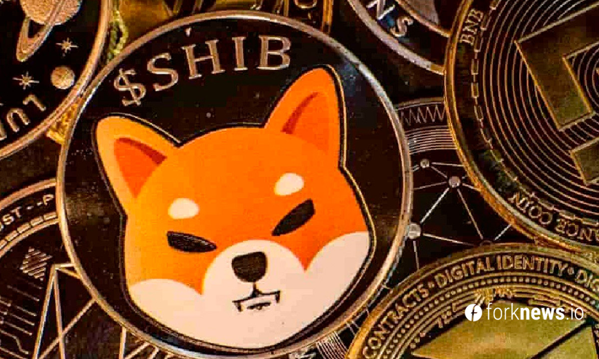 Кит купил более 153 миллиардов SHIB