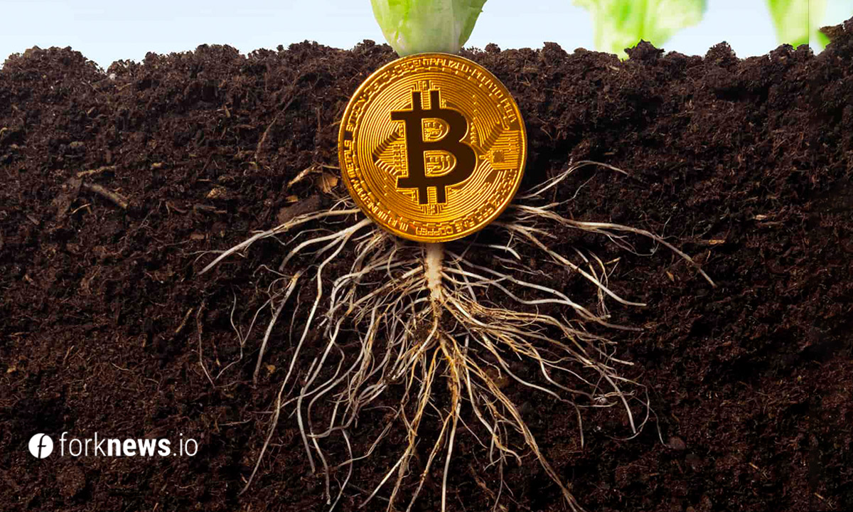  Активация Taproot пройдет в выходные