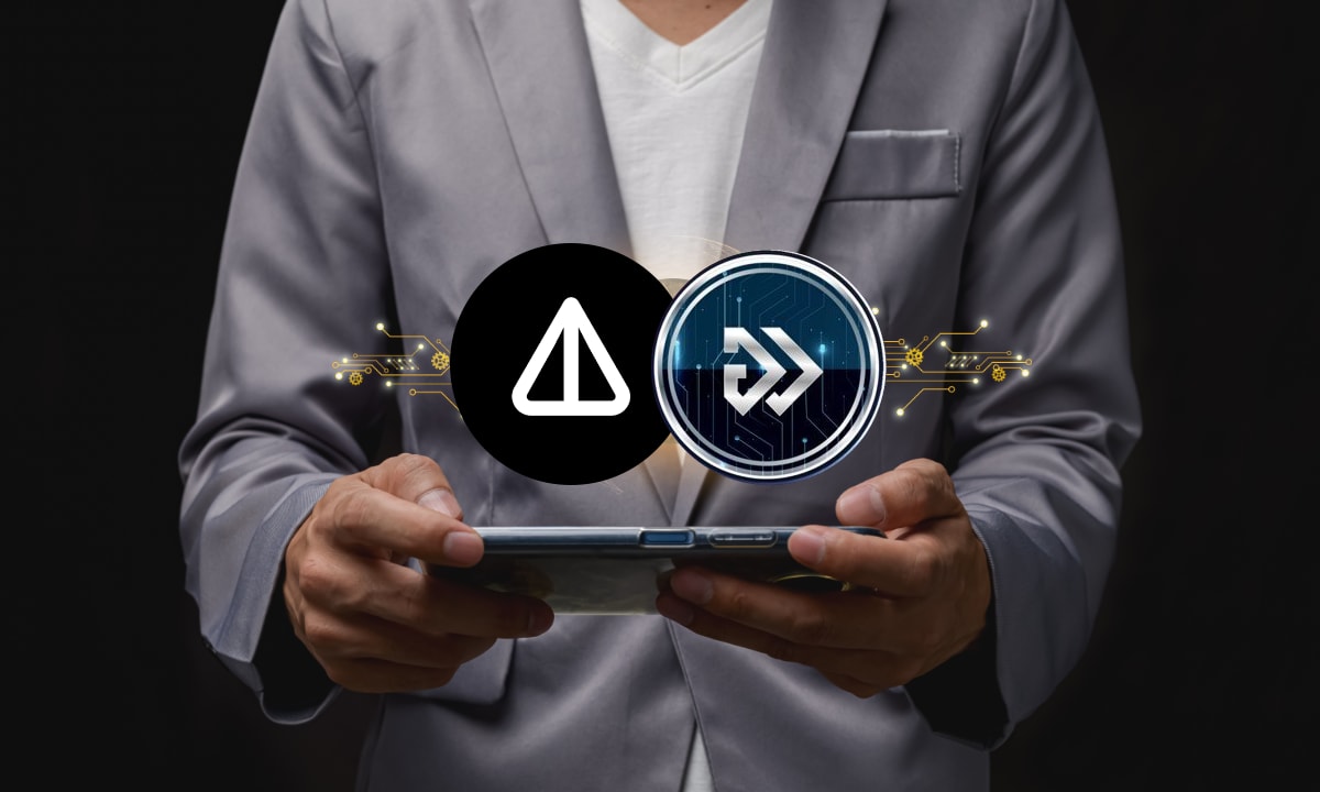 Крипто-ажиотаж: ралли Notcoin и многообещающее будущее Algotech